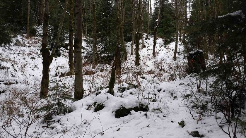 Snow-Trail1